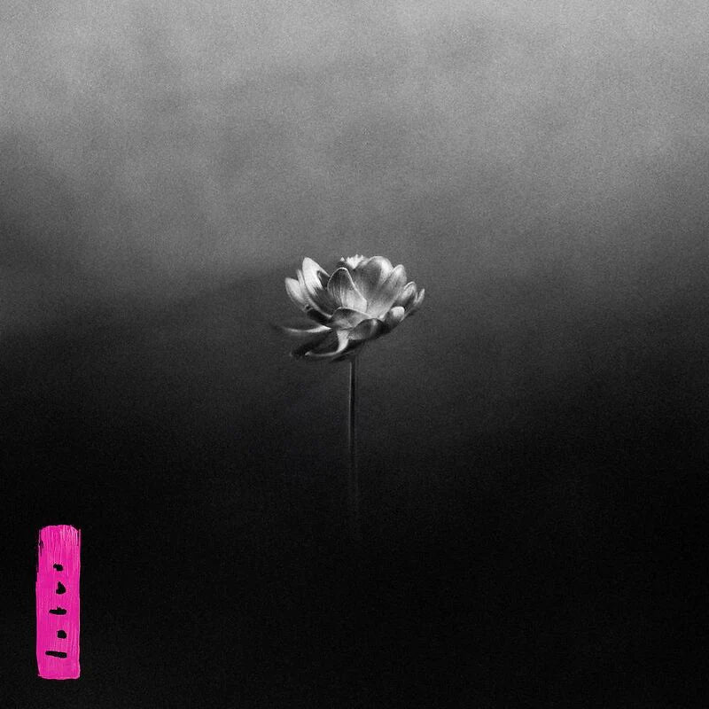 LITTLE SIMZ - LOTUS