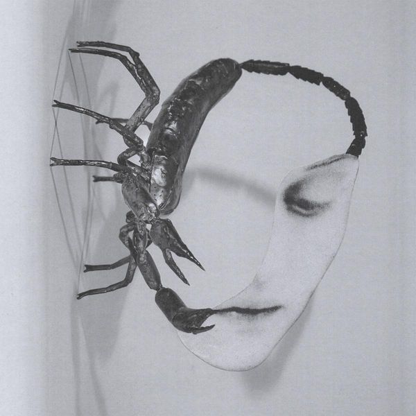 TORTOISE - TOUCH (pre-order 24/10/2025)