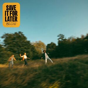 BLUAI - SAVE IT FOR LATER