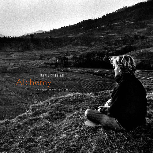 SYLVIAN, DAVID - ALCHEMY AN INDEX OF POSSIBILITIES (limited coloured vinyl LP)