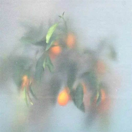 U-ZIQ & MRS JYNX - SECRET GARDEN (Green vinyl)
