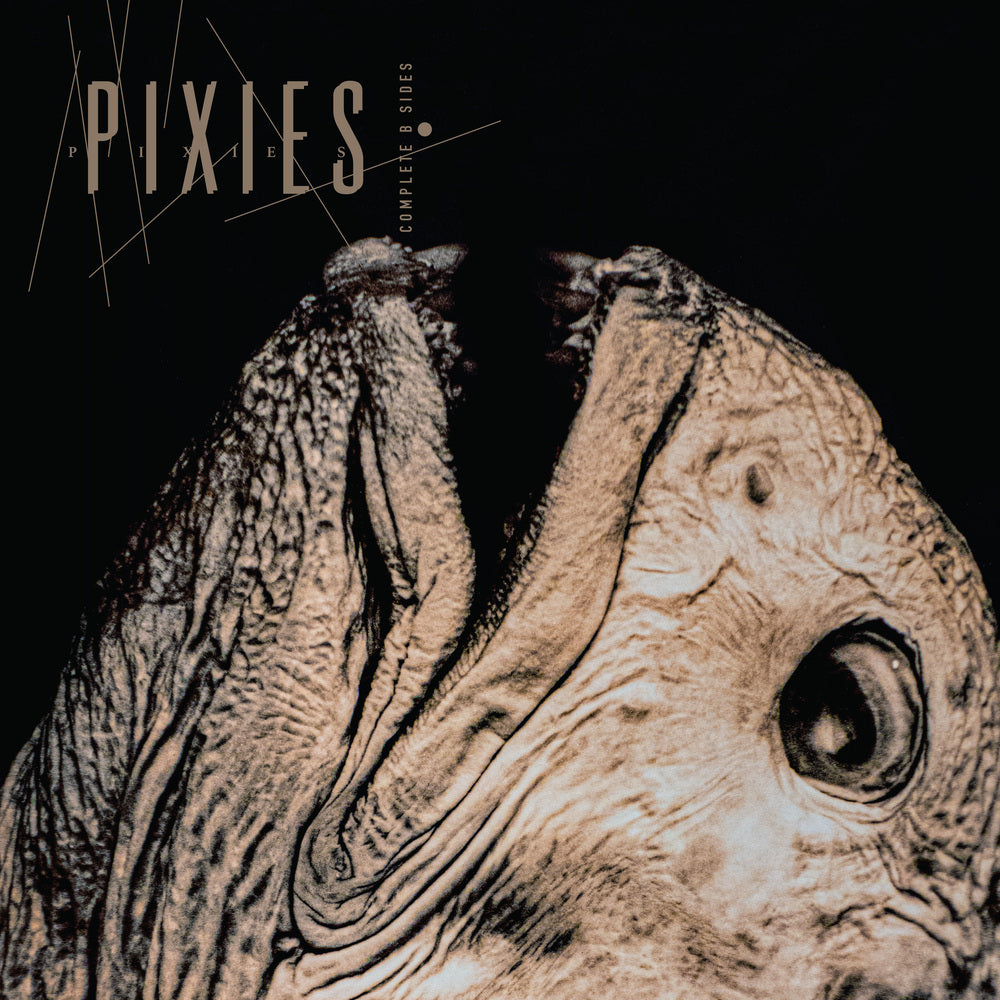 PIXIES - COMPLETE B-SIDES: 1988-97 (4AD) (limited crystal clear vinyl 2LP)