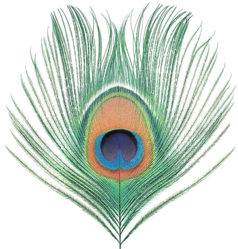 XTC - APPLE VENUS VOL. I