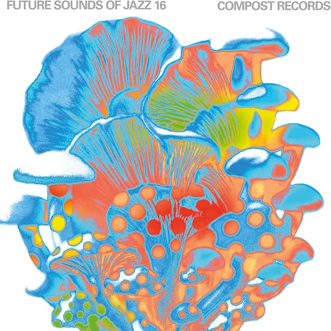 V/A - FUTURE SOUNDS OF JAZZ VOL 13 (3LP) (pre-order 18/09/2026)