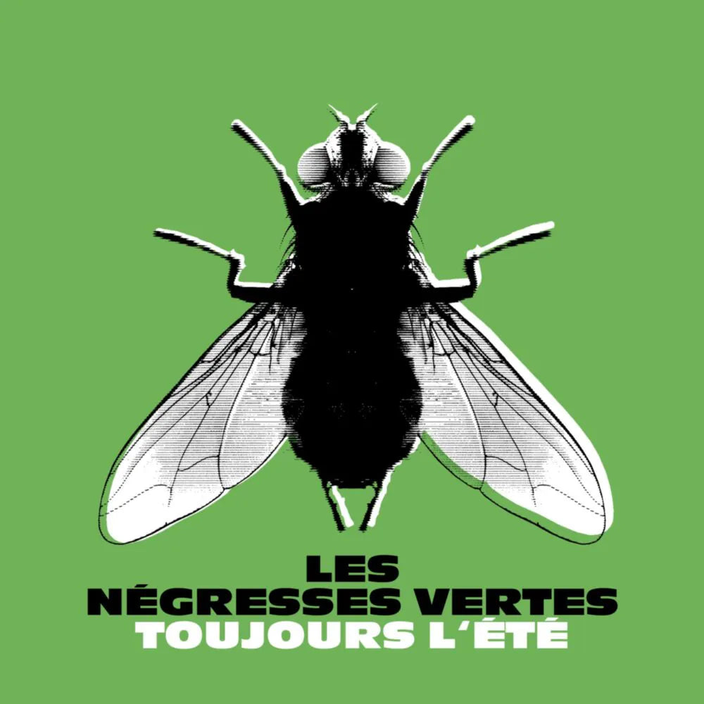 LES NEGRESSES VERTES - TOUJOURS L'ETE (Best of LP)