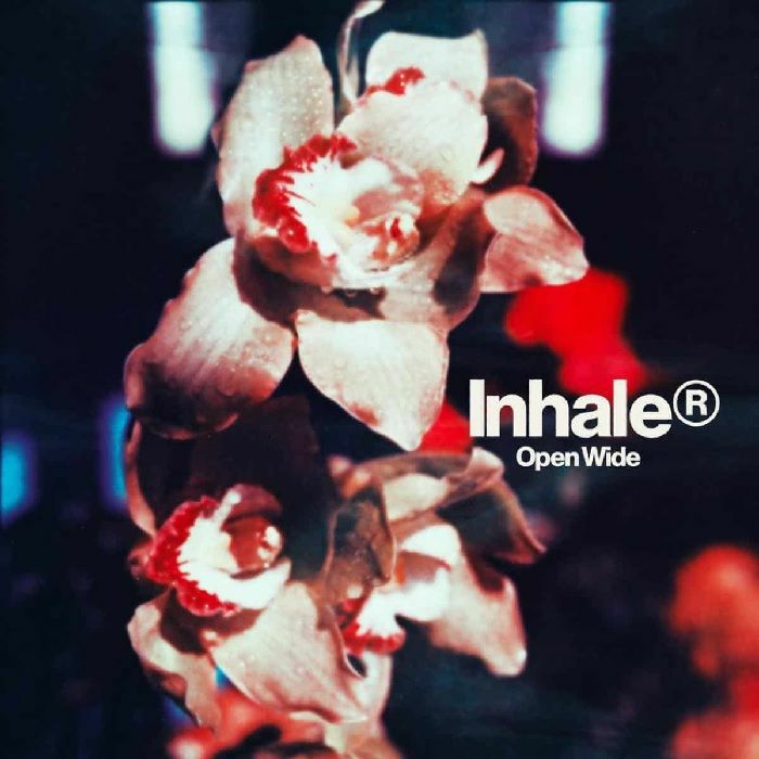 INHALER - OPEN WIDE (clear vinyl)