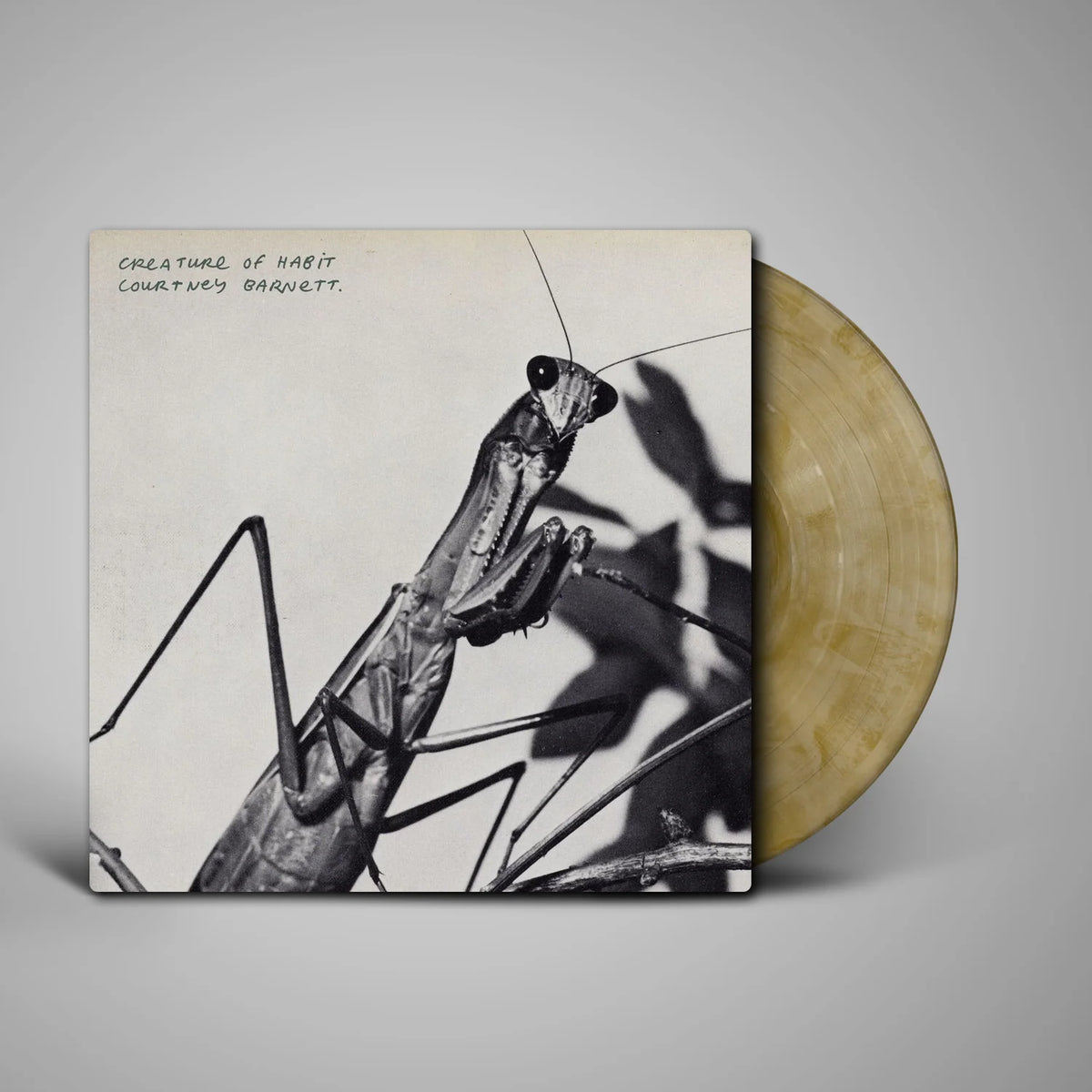 BARNETT, COURTNEY - CREATURE OF HABIT (Indie only version Caramel Coloured Vinyl LP)
