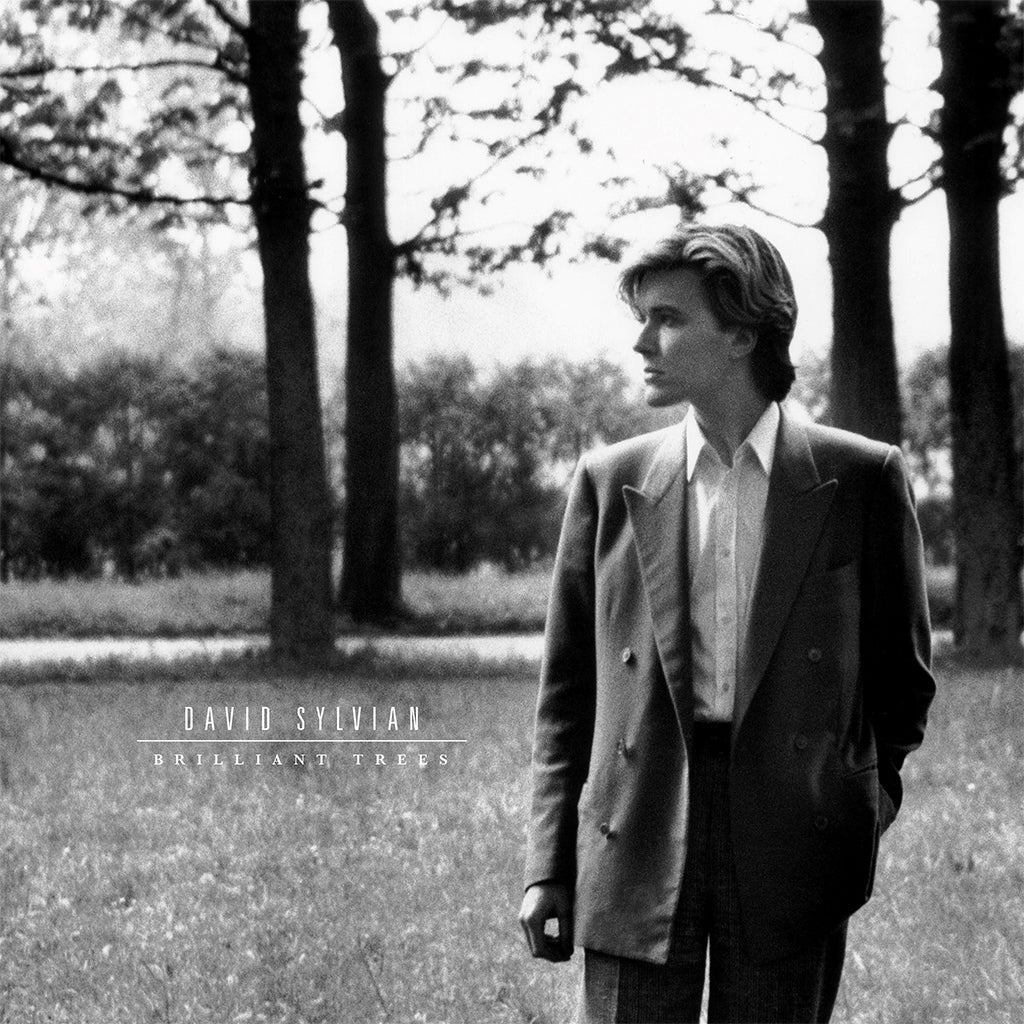 SYLVIAN, DAVID - BRILLIANT TREES (Corona olive Opaque vinyl)