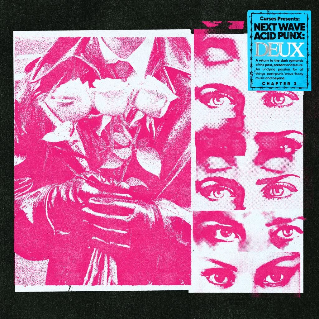 V/A - NEXT WAVE ACID PUNX DEUX - CHAPTER 3