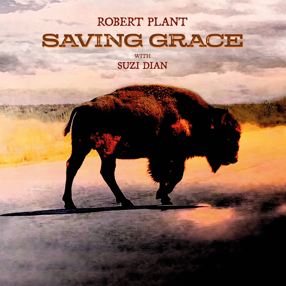 PLANT, ROBERT - SAVING GRACE (Fruit Punch vinyl / Indie only)