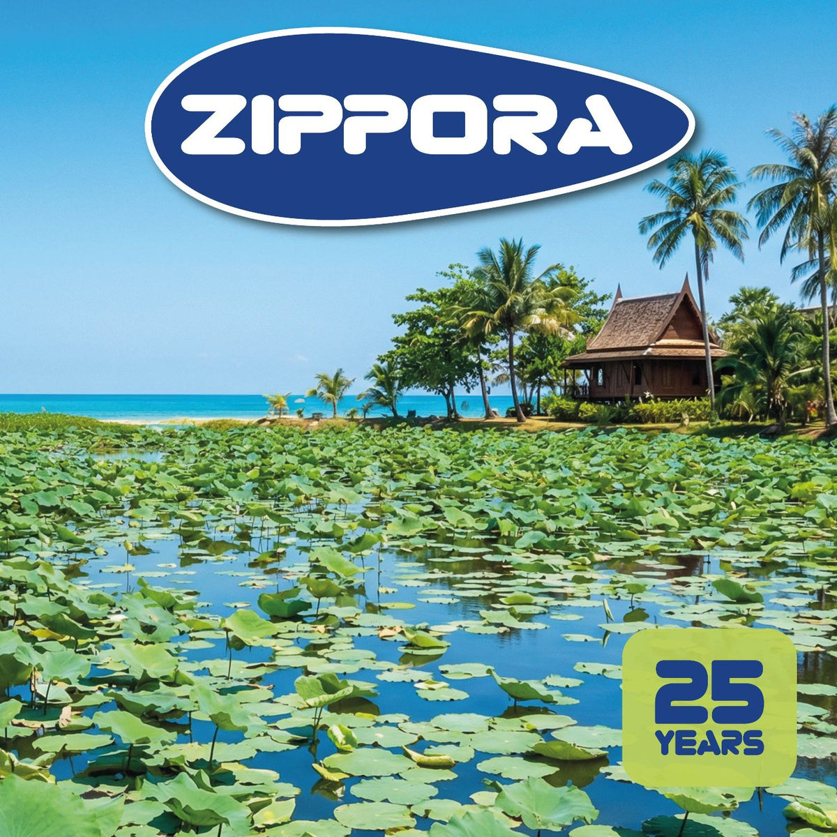 ZIPPORA - 25 YEARS (12")