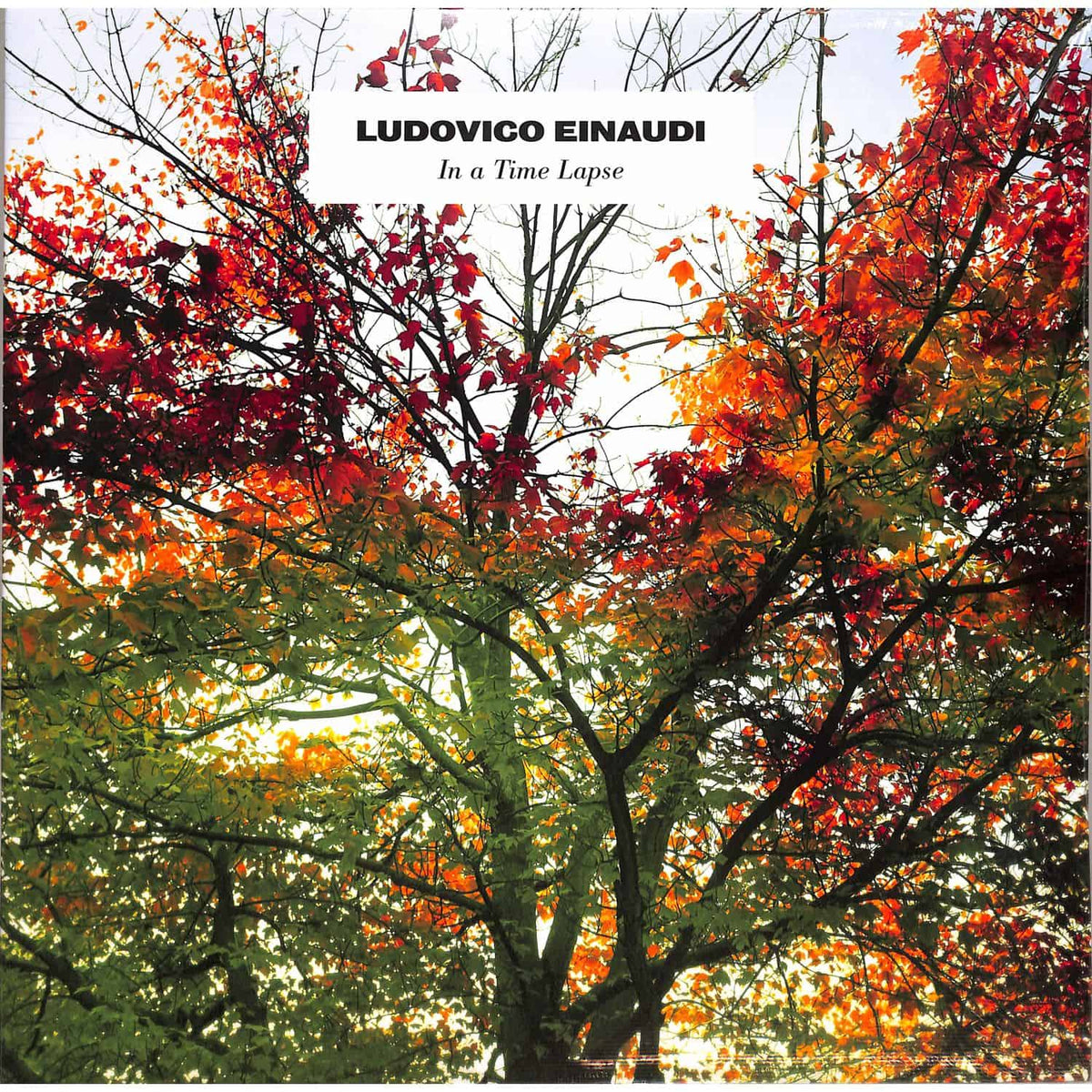 EINAUDI, LUDOVICO - IN A TIME LAPSE
