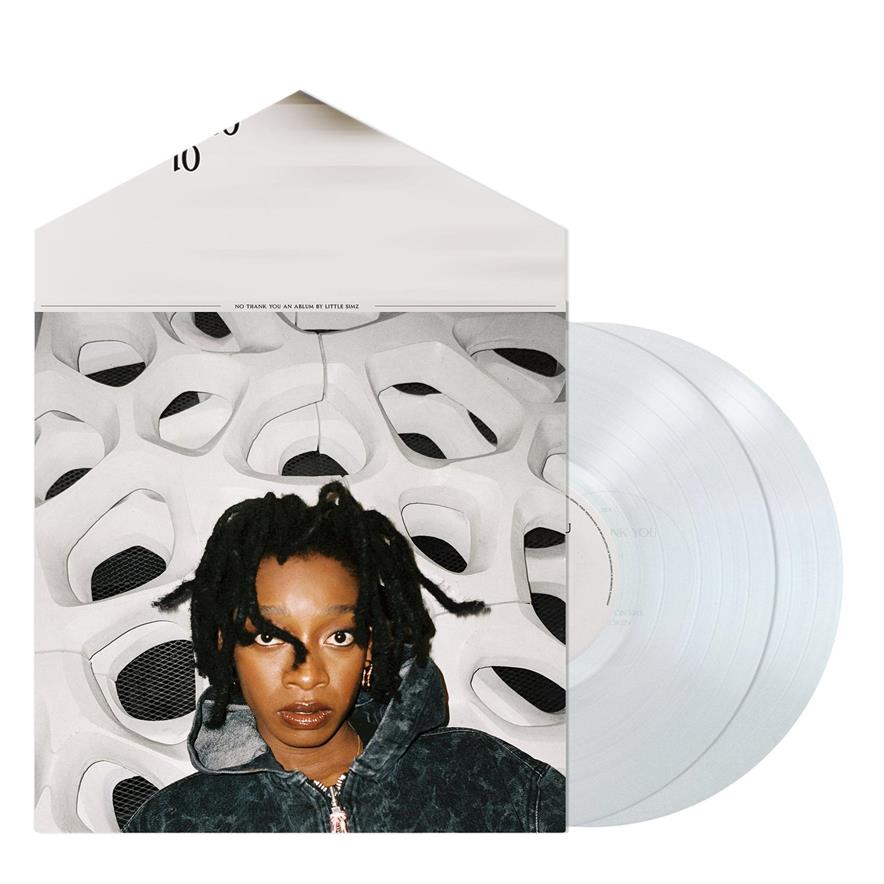 LITTLE SIMZ - NO THANK YOU