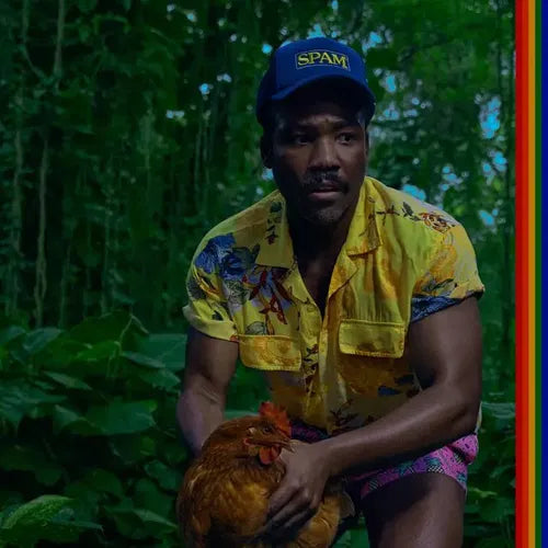 CHILDISH GAMBINO - BANDO STONE AND THE NEW WORLD