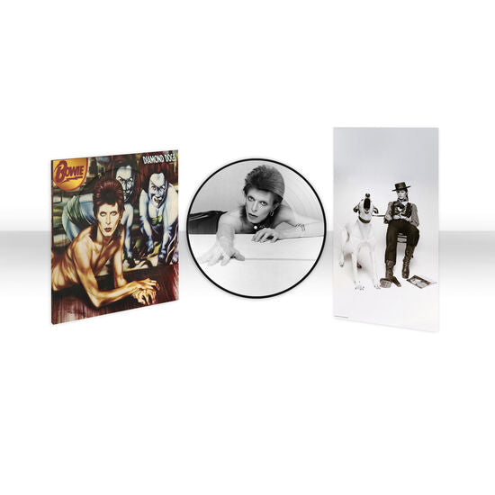 BOWIE, DAVID - DIAMOND DOGS (Picture Disc, Limited Edition, Anniversary Edition)