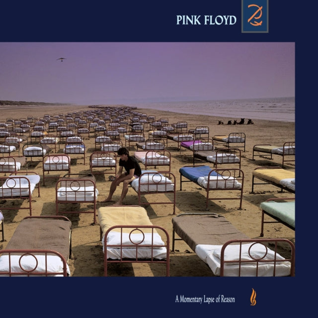 PINK FLOYD - A MOMENTARY LAPSE OF REASON