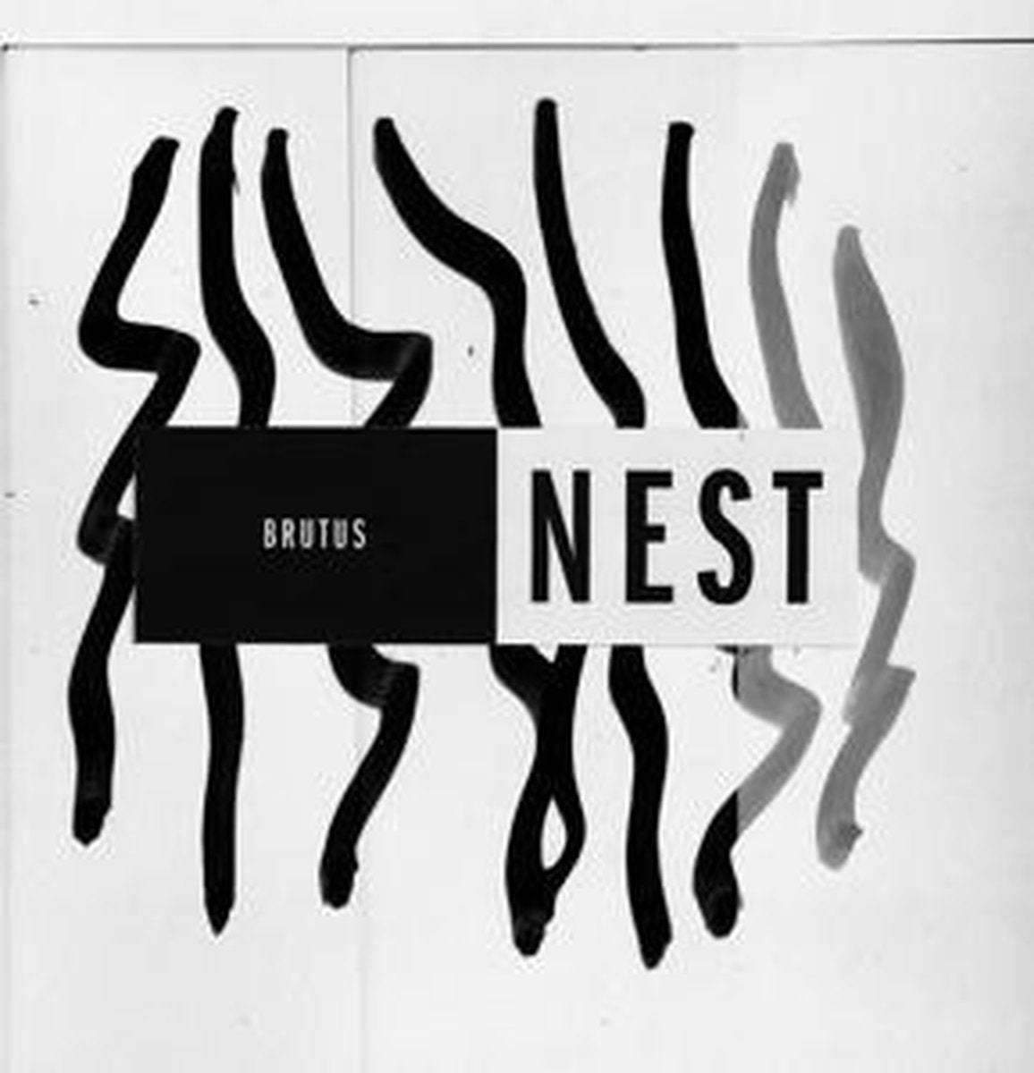 BRUTUS - NEST
