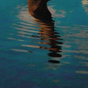 AO - AO MAR