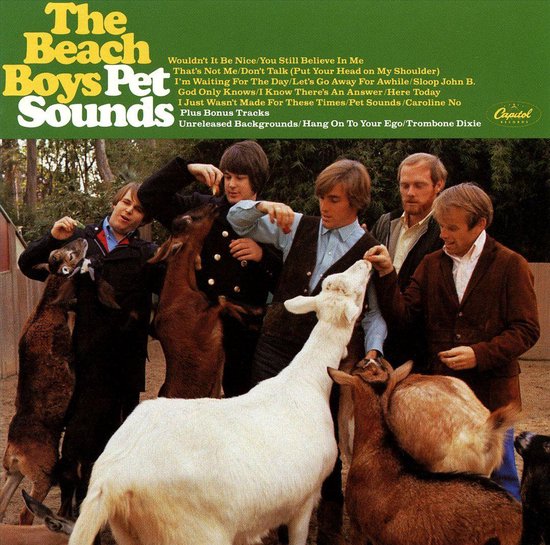 BEACH BOYS - PET SOUNDS (STEREO)