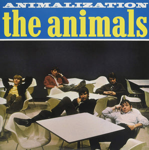 ANIMALS - ANIMALIZATION
