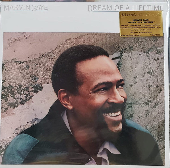 GAYE, MARVIN - DREAM OF A LIFETIME