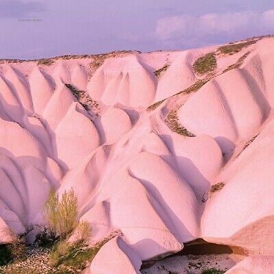 AUTECHRE - AMBER -GATEFOLD/DOWNLOAD-